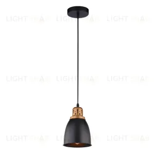 Подвесной светильник Arte Lamp Eurica A4248SP-1BK A4248SP-1BK
