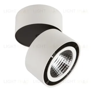 Потолочный светодиодный светильник Lightstar Forte Muro 213850 213850