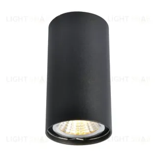 Потолочный светильник Arte Lamp A1516PL-1BK A1516PL-1BK