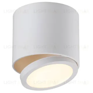 Потолочный светодиодный светильник Omnilux Canicatti OML-20501-01 OML-20501-01