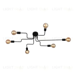 Потолочная люстра ST Luce Ano SL419.442.06 SL419.442.06