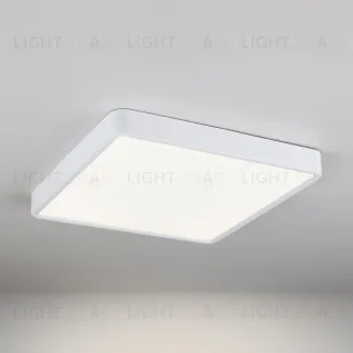 Потолочный светодиодный светильник Elektrostandard DLS034 24W 4200K 4690389134630 4690389134630