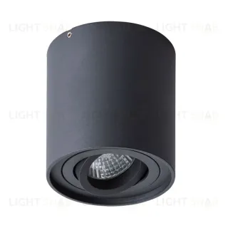 Потолочный светильник Arte Lamp Falcon A5645PL-1BK A5645PL-1BK