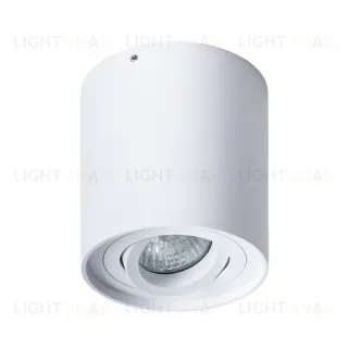 Потолочный светильник Arte Lamp Falcon A5645PL-1WH A5645PL-1WH