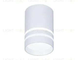 Потолочный светодиодный светильник Ambrella Light Techno Spot TN235 TN235