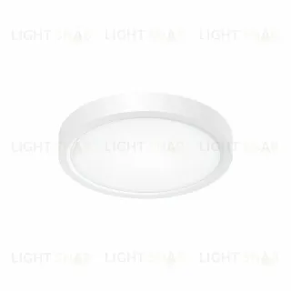 Накладной светильник Citilux CL738120N CL738120N