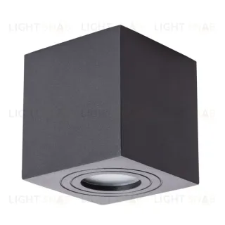 Накладной светильник ARTE Lamp A1461PL-1BK A1461PL-1BK