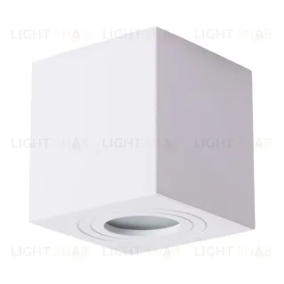 Накладной светильник ARTE Lamp A1461PL-1WH A1461PL-1WH