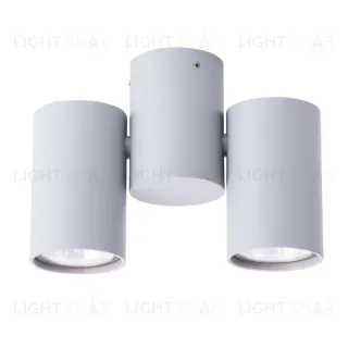 Накладной светильник ARTE Lamp A1511PL-2GY A1511PL-2GY