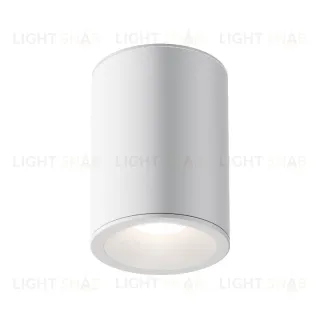 Потолочный светильник Maytoni Antares C029CL-01W C029CL-01W
