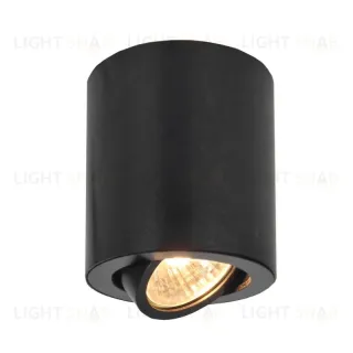 Накладной светильник Citilux Дюрен CL538113 CL538113
