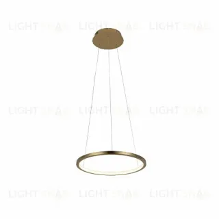 Подвесной светодиодный светильник Loft IT Ring 10014S 10014S