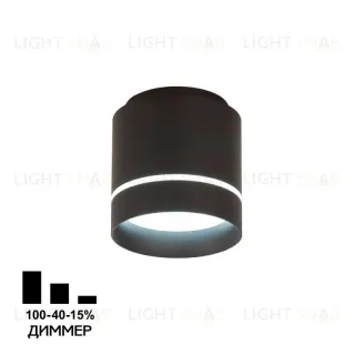 Накладной светильник Citilux Борн CL745021N CL745021N