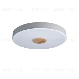Потолочный светильник Loft IT AXEL 10003/24 White 10003/24 White
