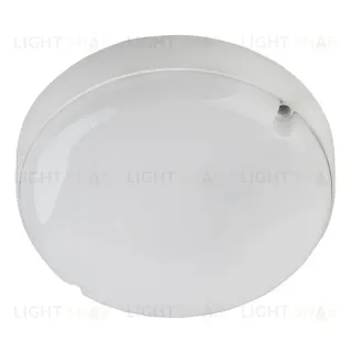 Настенно-потолочный светильник ЭРА SPB-201-0-65K-012 Б0047620 Б0047620