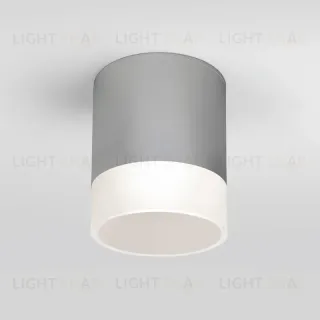 Уличный потолочный светильник Elektrostandard Light LED 4690389177965 4690389177965