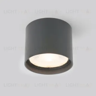 Уличный потолочный светильник Elektrostandard Light LED 4690389177019 4690389177019