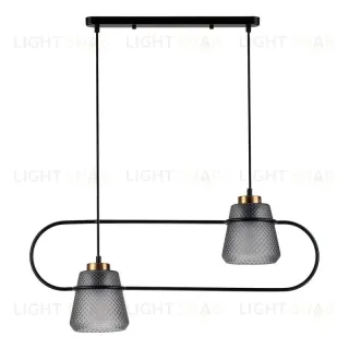 Подвесной светильник Indigo Astratto 11016/2P Black V000157 V000157