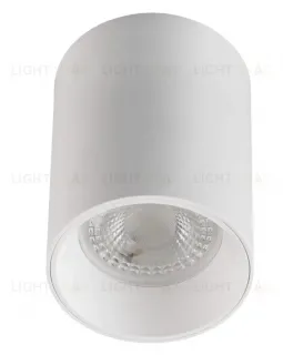 Накладной светильник Denkirs DK3110-WH DK3110-WH