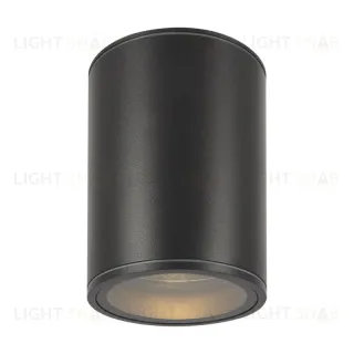 Уличный потолочный светильник Maytoni Bar O306CL-L7GF O306CL-L7GF