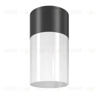 Уличный потолочный светильник Maytoni Willis O418CL-01B O418CL-01B