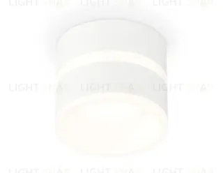 Потолочный светильник Ambrella Light Techno Spot XS8101019 (C8101, N8444) XS8101019