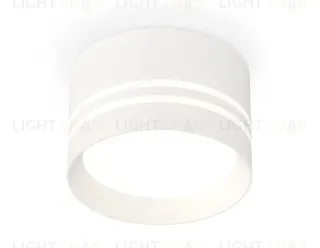 Потолочный светильник Ambrella Light Techno Spot XS8101021 (C8101, N8477) XS8101021