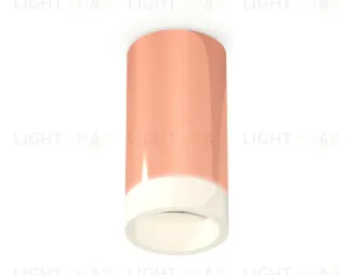 Потолочный светильник Ambrella Light Techno Spot XS6326021 (C6326, N6248) XS6326021