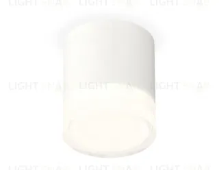 Потолочный светильник Ambrella Light Techno Spot XS7401043 (C7401, N7160) XS7401043