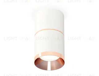 Потолочный светильник Ambrella Light Techno Spot XS7401221 (C7401, A2073, C7401, N7035) XS7401221