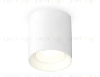 Потолочный светильник Ambrella Light Techno Spot XS7421010 (C7421, N7020) XS7421010