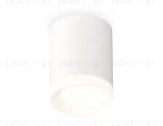 Потолочный светильник Ambrella Light Techno Spot XS7421024 (C7421, N7165) XS7421024