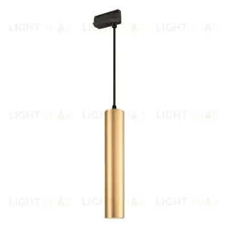 Трековый светильник Arlight LGD-Pipe-Track-Hang-2TR-R50-9W Warm3000 037433 037433