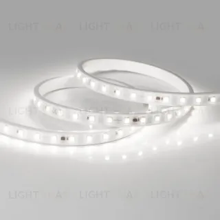 Светодиодная лента Arlight ARL-PV-B54-15.5mm 230V White6000 (8 W/m, IP65, 5060, 50m) 027056(2) 027056(2)