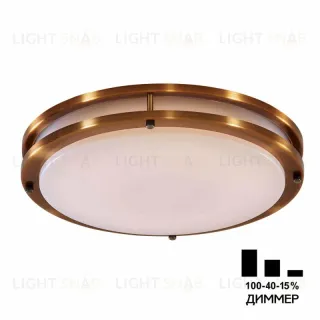Настенно-потолочный светильник Citilux Бостон CL709503N CL709503N