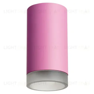 Накладной светильник Lightstar Rullo R43230 (214432+202430) R43230