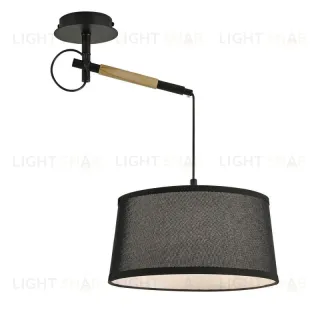 Настенно-потолочный светильник F-Promo Eureka 3006-1P 3006-1P