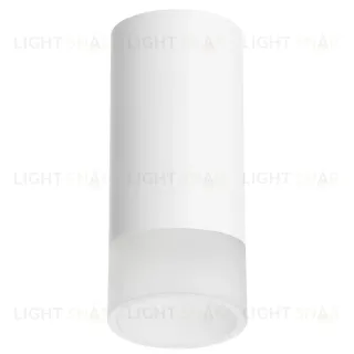Накладной светильник Lightstar Rullo R43631 (214436+202431) R43631