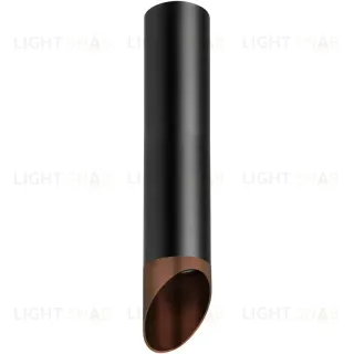 Накладной светильник Lightstar Rullo R497130 (214497+201430) R497130