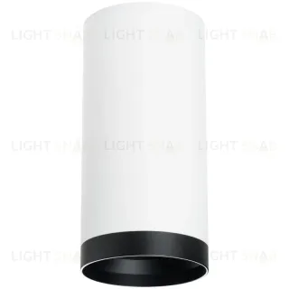 Накладной светильник Lightstar Rullo R64863487 (216486+203487) R64863487