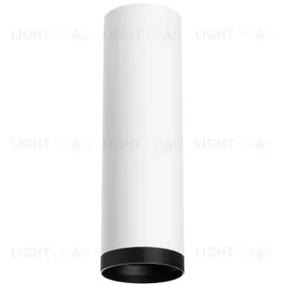 Накладной светильник Lightstar Rullo R64963487 (216496+203487) R64963487