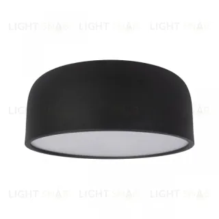 Потолочный светильник Loft IT Axel 10201/350 Black 10201/350 Black