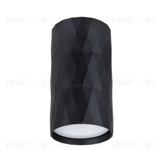 Накладной светильник Arte Lamp Fang A5557PL-1BK A5557PL-1BK