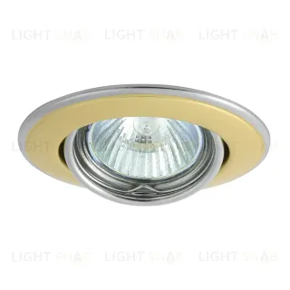 Точечный светильник Kanlux Horn CTC-3115-PG/N 2833 2833