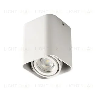 Потолочный светильник Kanlux Toleo DTL50-W 26114 26114