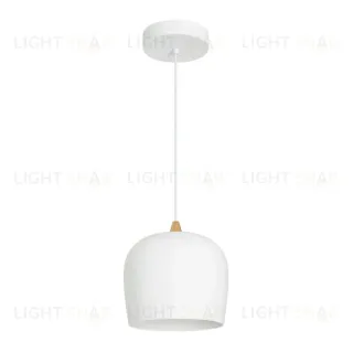 Подвесной светильник Arlight SP-PEONY-HANG-R250-15W Warm3000 (WH, 65 deg, 230V) 039548 039548