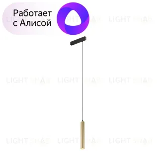 Трековый светильник Denkirs Smart DK8008-BG DK8008-BG