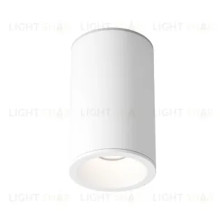 Накладной светильник Maytoni Zoom C029CL-01-S-W C029CL-01-S-W