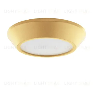 Накладной светильник Lightstar Urbano mini 214732 214732