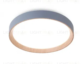 Потолочный светильник Ambrella Light Orbital Design FZ1320 FZ1320
